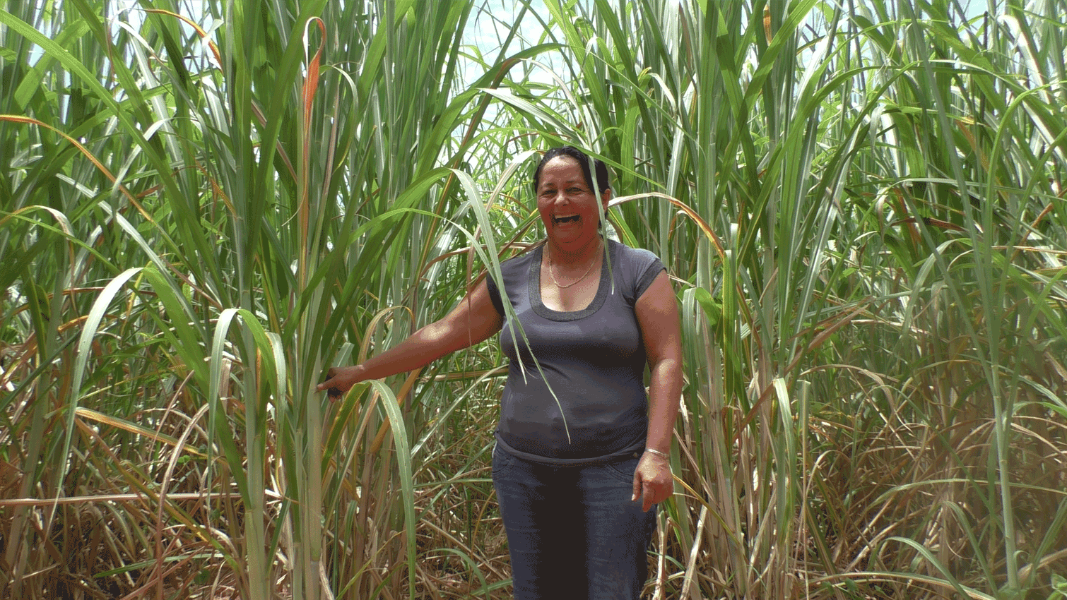Productrice de sucre de canne paraguay coopÃ©rative Ã©quitable bio manduvira